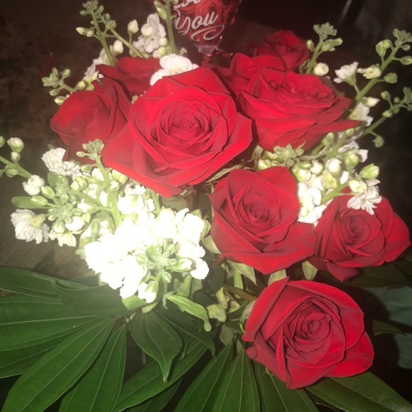 Meet your Posher, Daisy - Picture 1 of 1